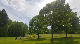 Gebiet um den Badesee Burgwallbach Gebiet um den Badesee Burgwallbach